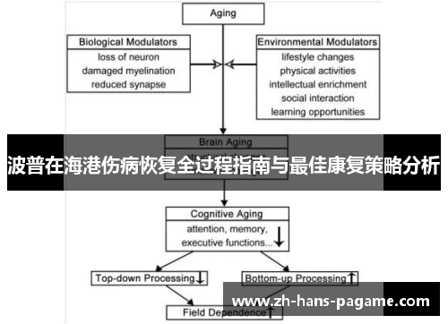 波普在海港伤病恢复全过程指南与最佳康复策略分析