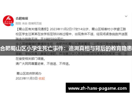 合肥蜀山区小学生死亡事件：追溯真相与背后的教育隐患