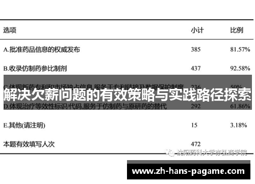解决欠薪问题的有效策略与实践路径探索