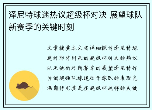 泽尼特球迷热议超级杯对决 展望球队新赛季的关键时刻